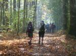 La randonnée du 21 octobre en forêt de Grimbosq