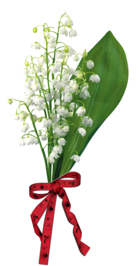 1er Mai ...
