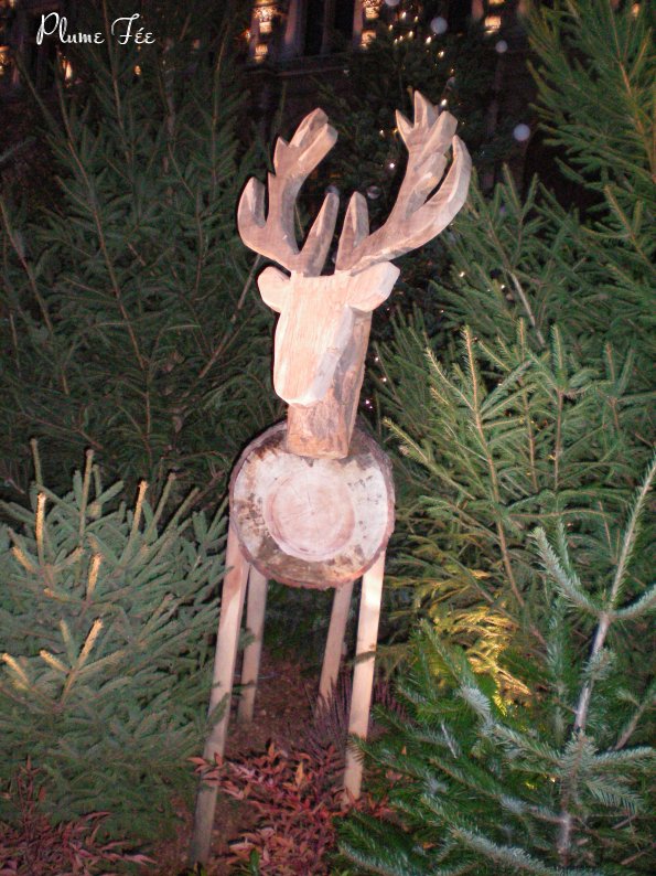 Image015.jpg