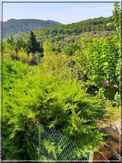 1011 - Le Barroux dans le Vaucluse (84)