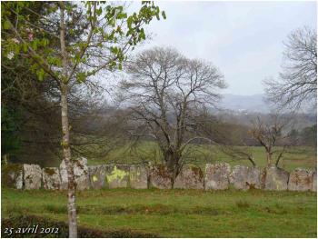 (J21) Lugo / San Roman da Roterta 25 avril 2012