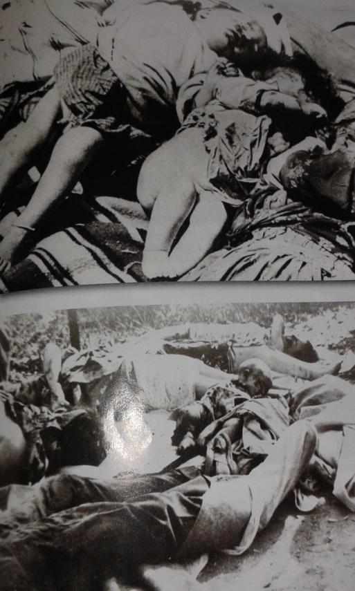 Guerre d'Algérie : ce qu'Hollande ne vous montrera pas