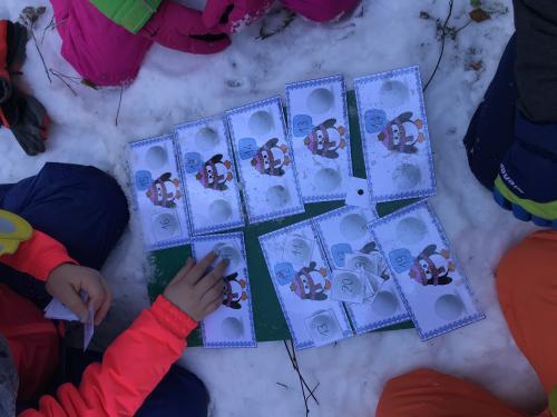 Sortie du 8 janvier 2021