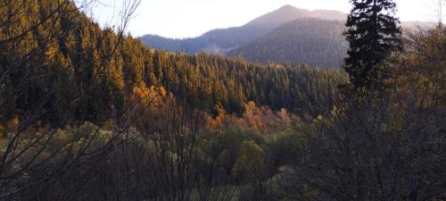 ARTVIN et la montagne 2/2
