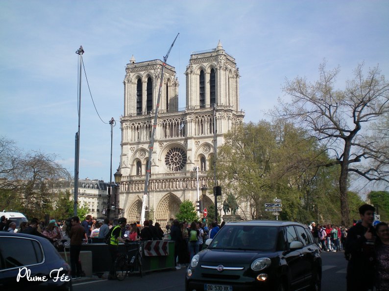 Image010.jpg