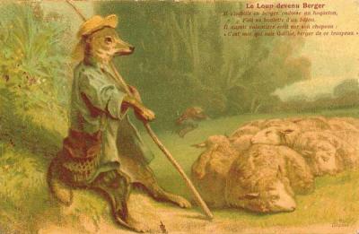 Loups de Sibérie (Canis lupus albus)