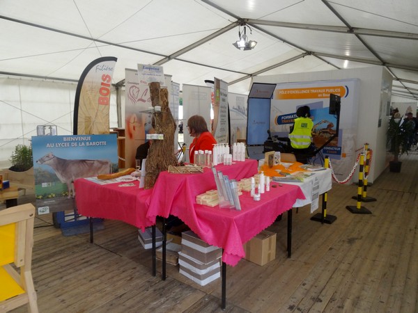 Quelques stands d'exposants aux Journées Châtillonnaises 2016...
