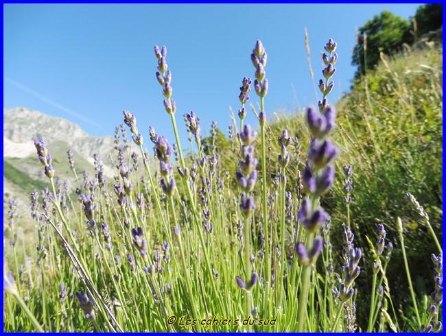 Devoluy, le sentier des Bans
