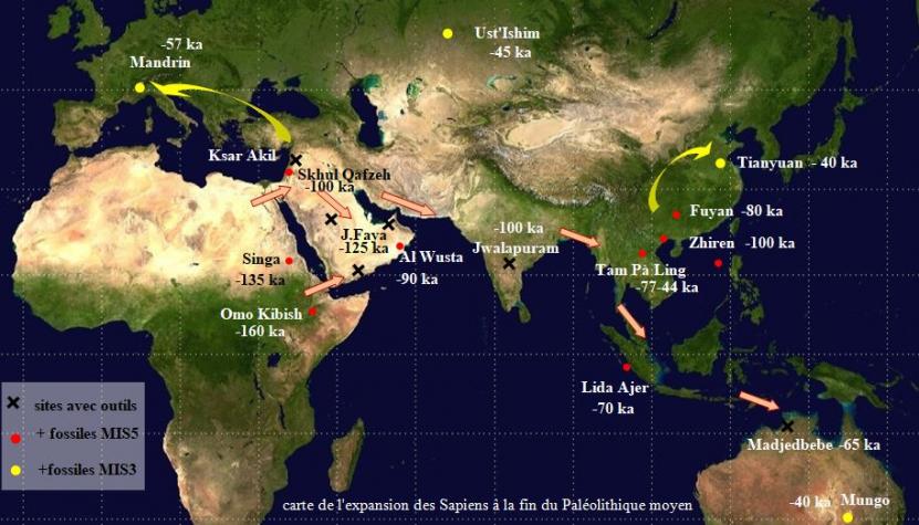 8 - L'expansion des Homo sapiens