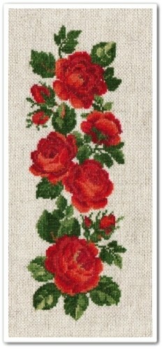 Rose-border-fin.jpg