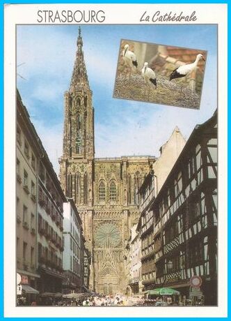 ⊱♥⊱╮ღ꧁ Aujourd'hui Département 67 ꧂ღ╭⊱♥≺