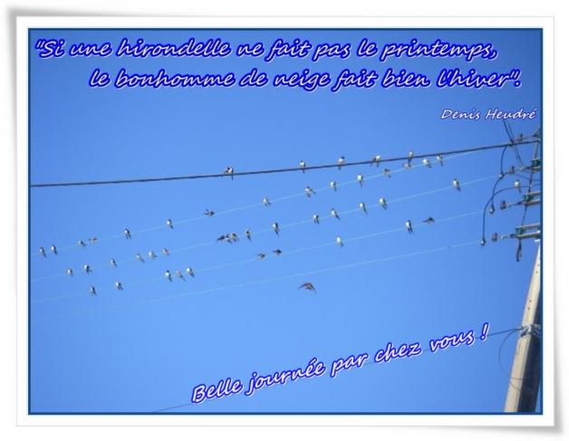 Signe du printemps ..."l'hirondelle"...