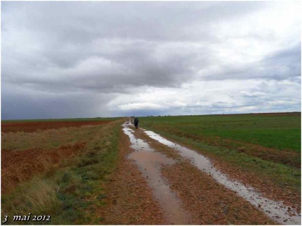 (J29) Mansilla de las Mulas / Calzadilla 3 mai 2012 (2)