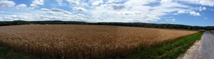 La Beauce en Essonne