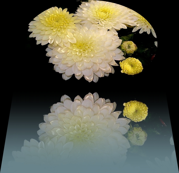 Fleur du moment ...