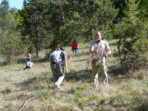 Natura 2000