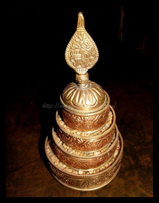 Tranches de vie d'un Australian Shepherd