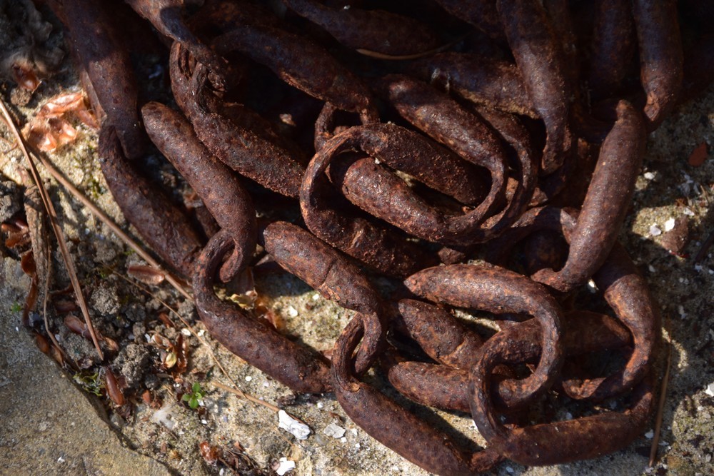 La petite cabane verte de Jane de Boy...