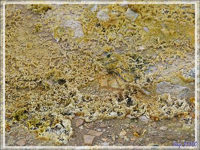 07/06/2023 : Zone géothermique de Gunnuhver et ses sources chaudes, puis belle piscine naturelle crée par les coulées de lave, vue par mer très calme - Péninsule de Reykjanes - Islande