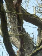 La randonnée du 26 mars à Argences