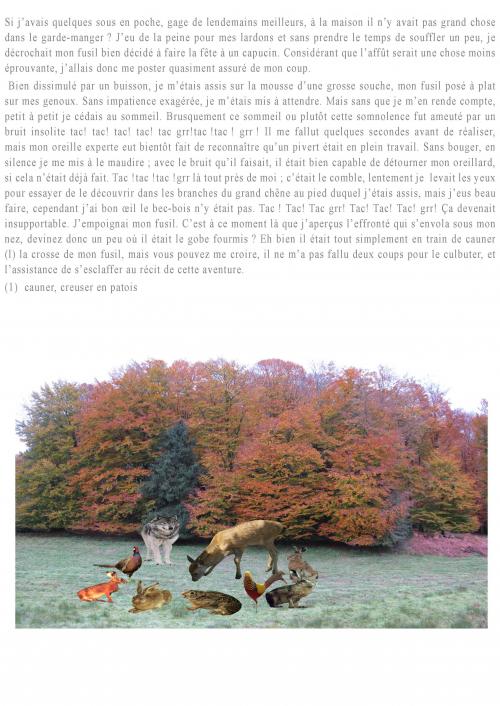 Histoires de chasseurs, histoires de menteurs 2.