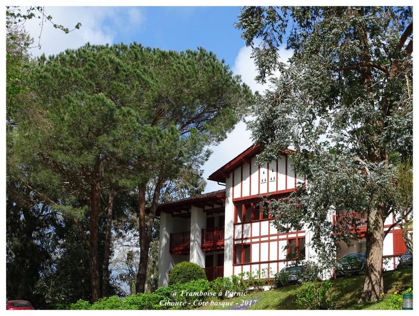 Ciboure - Côte basque - Avril 2017