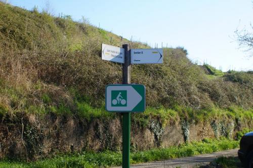 Saint Aubin de Luigné: variante Chaume