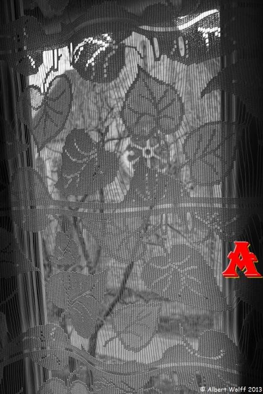 Dix mots en photos : vis-à-vis  -  voilà.