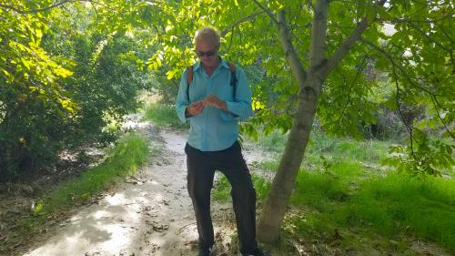 L'hospitalité des cheminées de fée