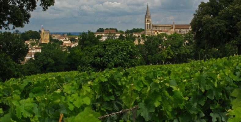 Carte de France des Paysages(Saint Emilion)gironde