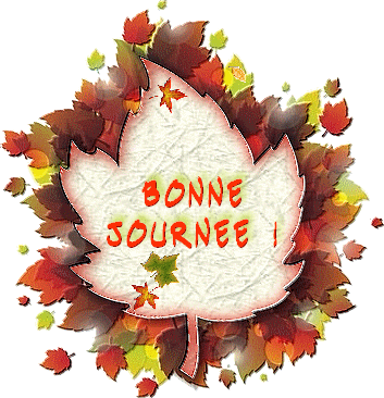 histoire de ...feuilles ...