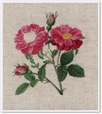 "La Reine Elisabeth" 7
