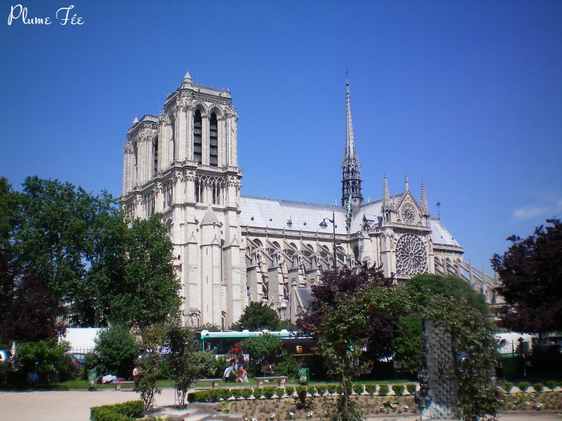 Image003.jpg