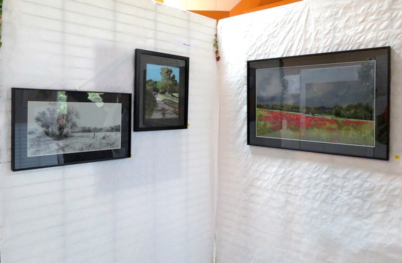 Au Salon d'Automne de Chamesson en 2024, 35 peintres ont présenté 165 tableaux, tous plus beaux les uns que les autres !