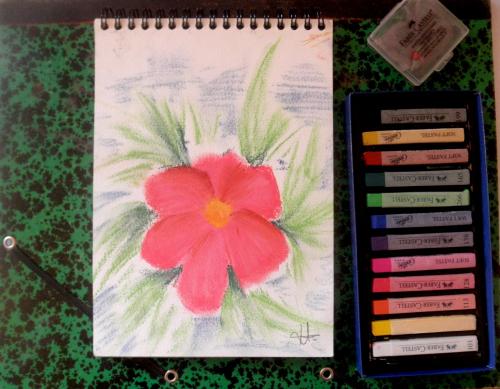 • Dessin fleur au pastel