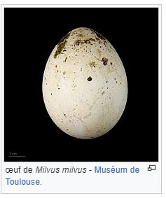 Milans royaux