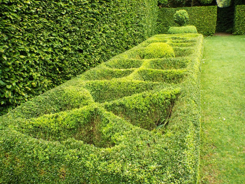 Jardin en Flandres ...