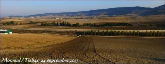 (J24) Monreal / Tiebas _14km_ 24 septembre 2013