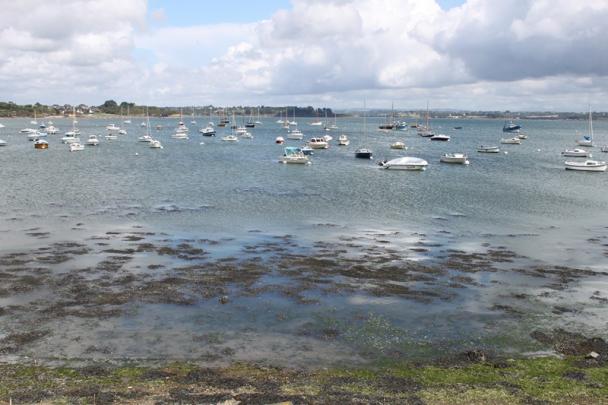 Promenade à Plougastel 5 08 2012 027