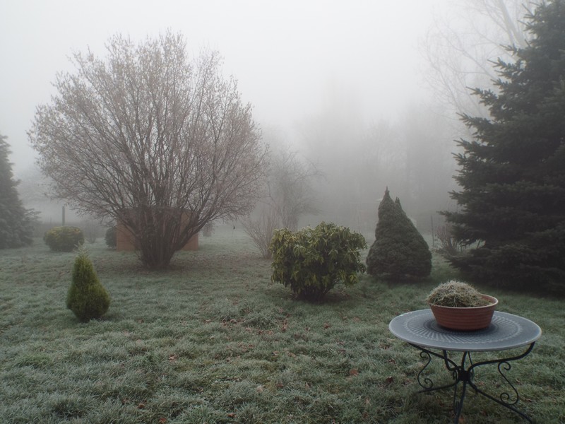 Brouillard 