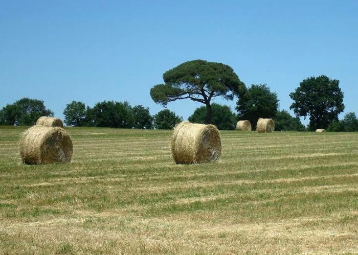 Département de la Vendée