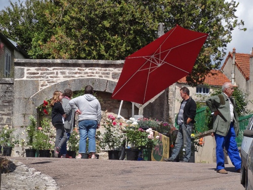 Foire aux graines