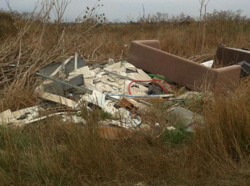 Petit mas ancien destructurée - Camargue