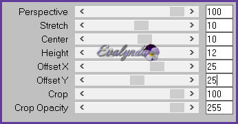 Romantique Steampunk