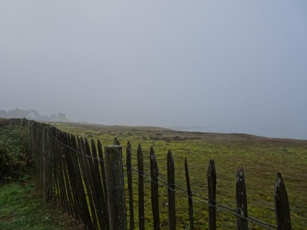 Du gris, du gris, sans nuance !