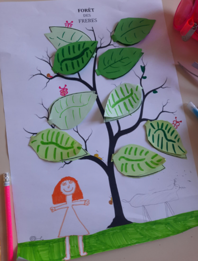 Forêt des Frères : les feuilles de la vie 