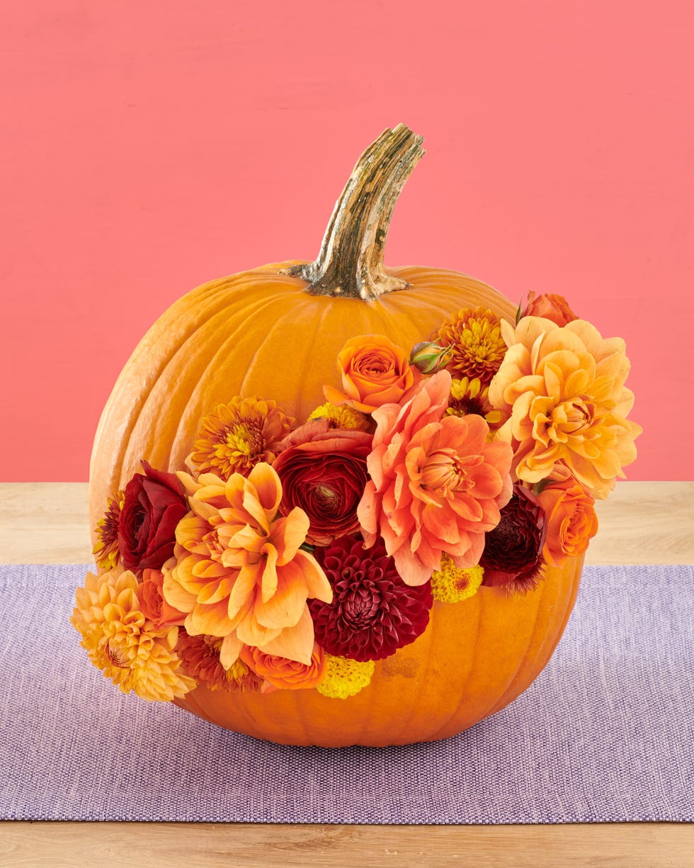 50 Easy Pumpkin Carving Ideas for Halloween 2024