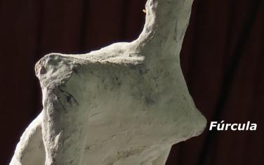 ALIEN PROJECT - Les momies du Pérou/5