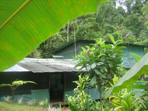 La maison d'Alfredo, perdue dans la forêt.