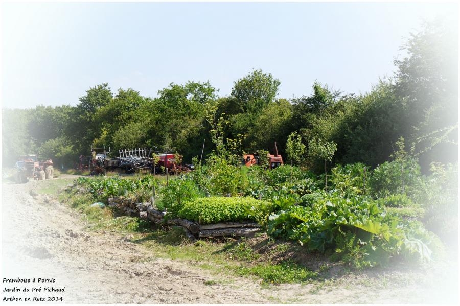 Les bons légumes du Pré Pichaud à Arthon en Retz 